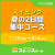 【一般生専用】スイミング夏の2日間集中コース｜アスリエ生田