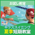 【お試し教室】キッズスイミング夏季短期教室｜マグレブエスト