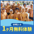 【水球コース】1ヶ月無料体験｜スイムピア奈良